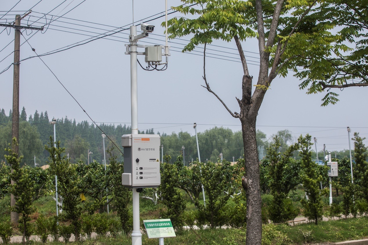 解密上海首个盒马村:无人机撒药,机器人巡逻,用手机种田!(图3)